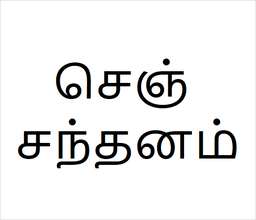 [செஞ் சந்தனம்] Redsandel sapling