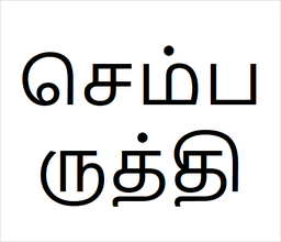 [செம்பருத்தி] Sembarudhi sapling