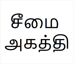 [சீமை அகத்தி] Seemai Agagthi sapling