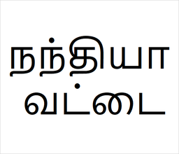 [நந்தியா வட்டை] Nandia vattai sapling