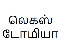 [லெகஸ்டோமியா] Logerstomia sapling